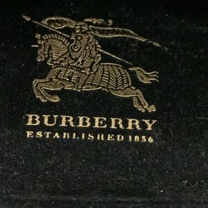 burberry glasses case